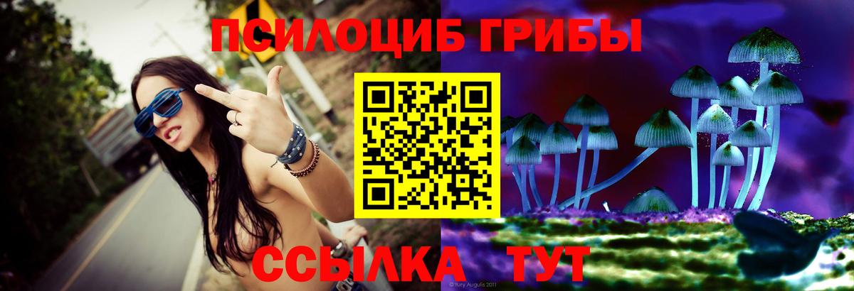 Псилоцибиновые грибы GOLDEN TEACHER  Вход с VPN  закладки  Псилоцибиновые грибы Psilocybe  Нововоронеж 